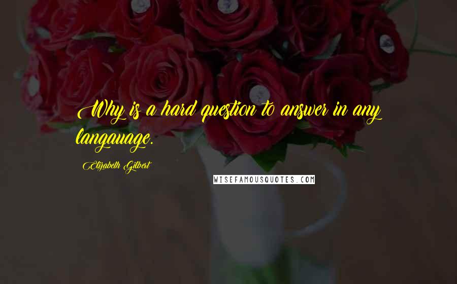 Elizabeth Gilbert Quotes: Why is a hard question to answer in any langauage.