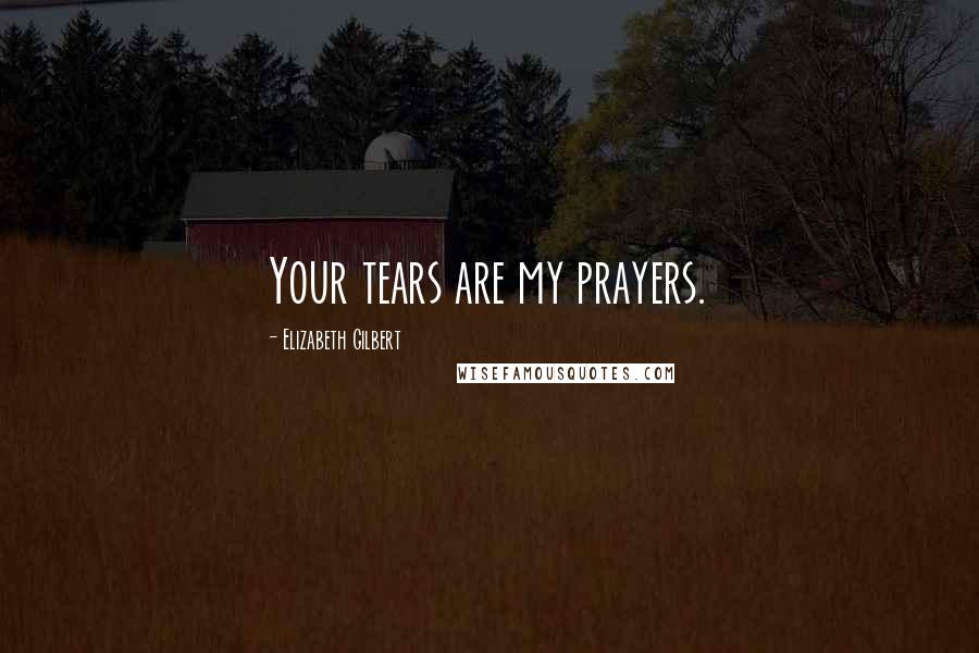 Elizabeth Gilbert Quotes: Your tears are my prayers.