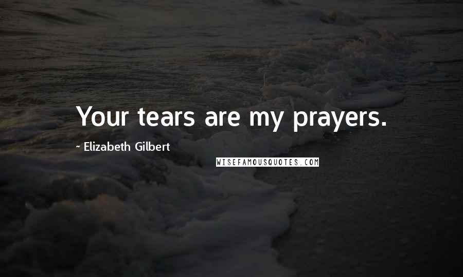Elizabeth Gilbert Quotes: Your tears are my prayers.