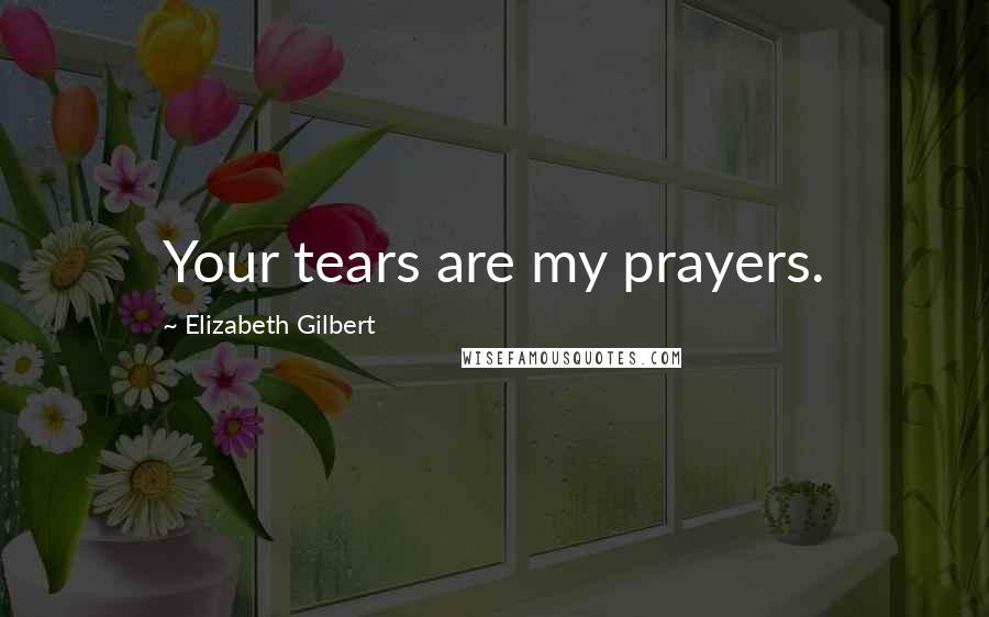 Elizabeth Gilbert Quotes: Your tears are my prayers.