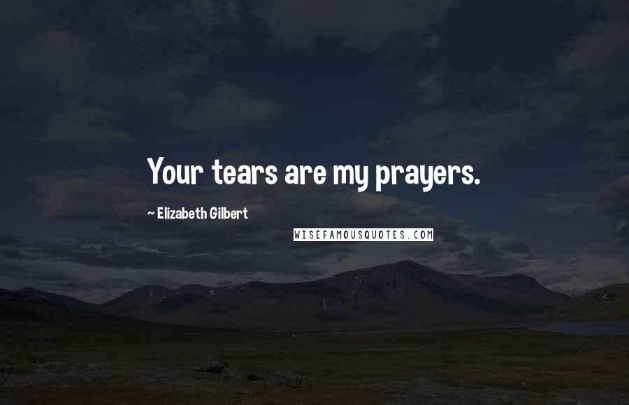 Elizabeth Gilbert Quotes: Your tears are my prayers.