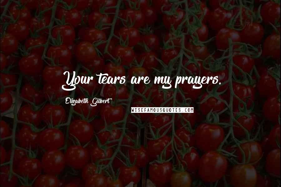 Elizabeth Gilbert Quotes: Your tears are my prayers.