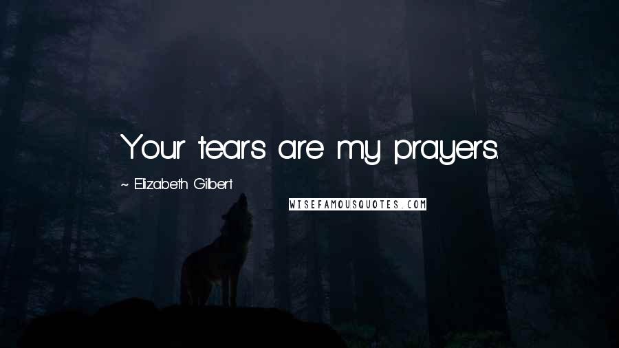 Elizabeth Gilbert Quotes: Your tears are my prayers.