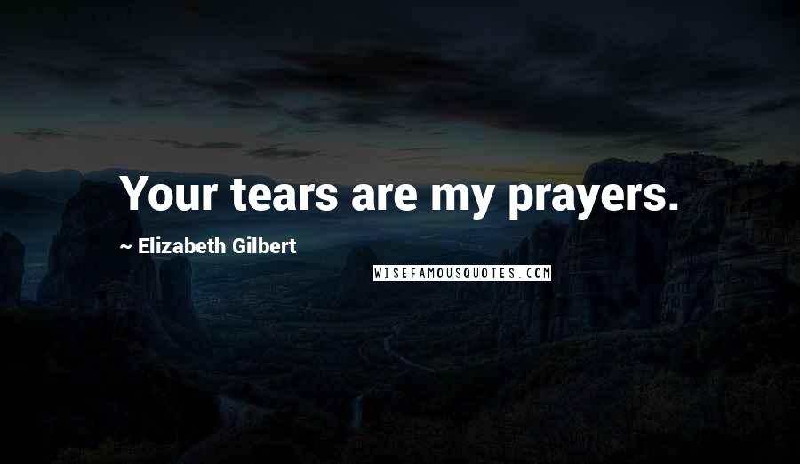 Elizabeth Gilbert Quotes: Your tears are my prayers.