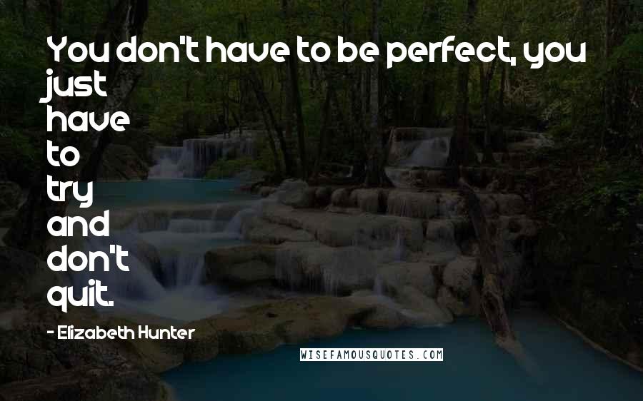 Elizabeth Hunter Quotes: You don't have to be perfect, you just have to try and don't quit.