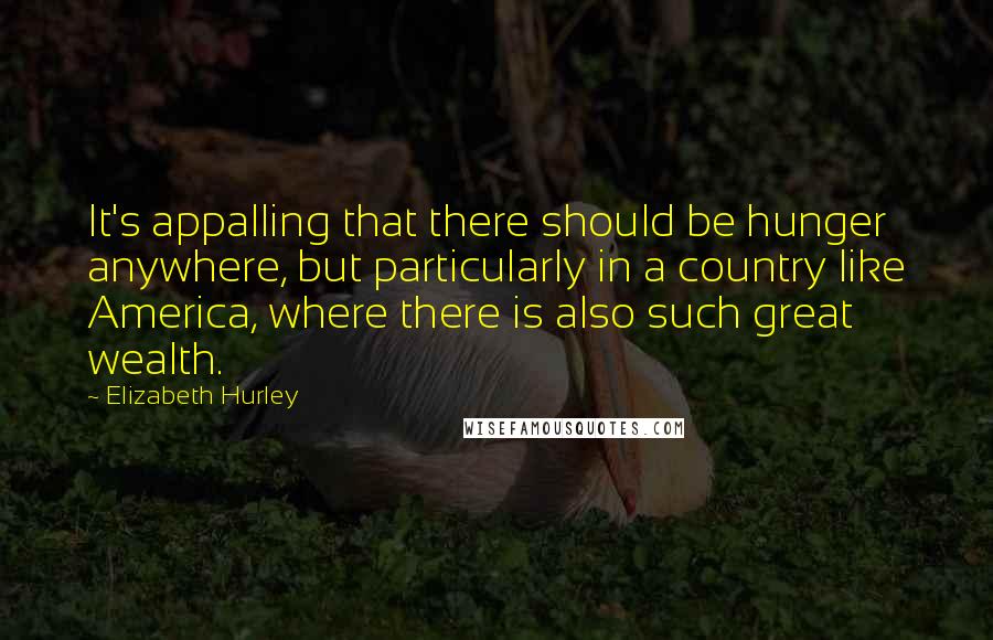 Elizabeth Hurley Quotes: It's appalling that there should be hunger anywhere, but particularly in a country like America, where there is also such great wealth.