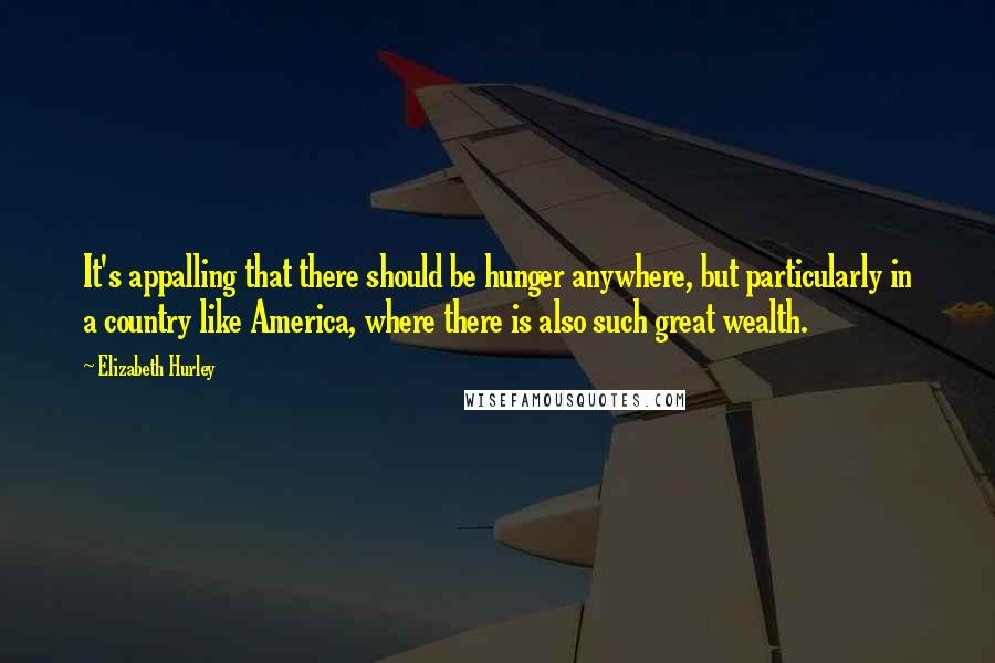 Elizabeth Hurley Quotes: It's appalling that there should be hunger anywhere, but particularly in a country like America, where there is also such great wealth.