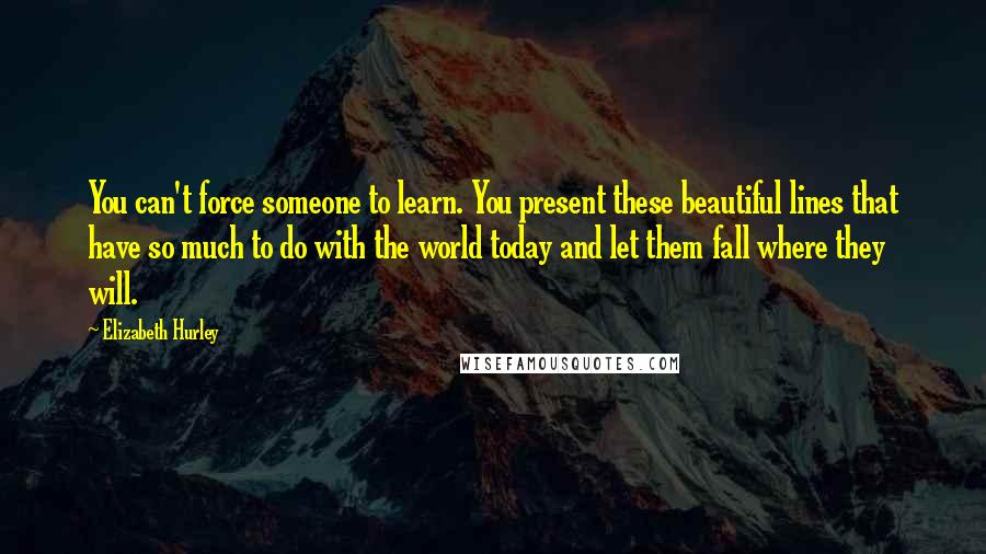 Elizabeth Hurley Quotes: You can't force someone to learn. You present these beautiful lines that have so much to do with the world today and let them fall where they will.