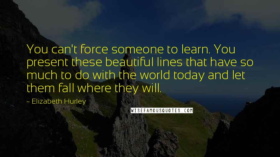 Elizabeth Hurley Quotes: You can't force someone to learn. You present these beautiful lines that have so much to do with the world today and let them fall where they will.