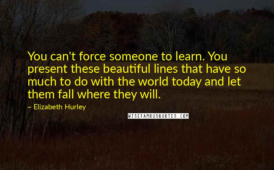 Elizabeth Hurley Quotes: You can't force someone to learn. You present these beautiful lines that have so much to do with the world today and let them fall where they will.