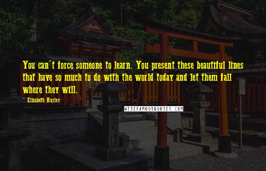 Elizabeth Hurley Quotes: You can't force someone to learn. You present these beautiful lines that have so much to do with the world today and let them fall where they will.