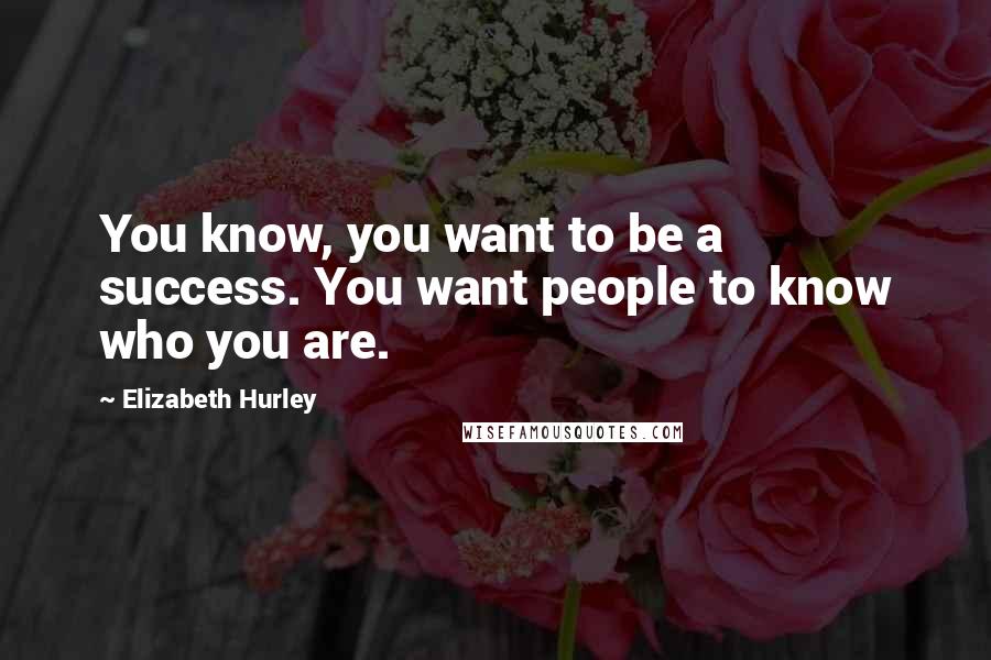 Elizabeth Hurley Quotes: You know, you want to be a success. You want people to know who you are.