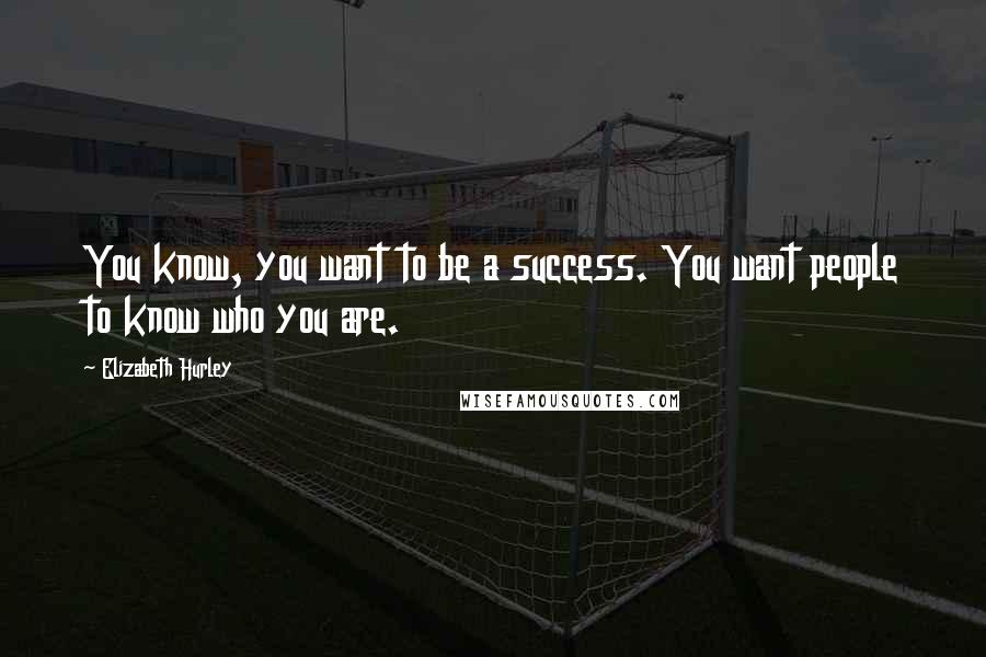Elizabeth Hurley Quotes: You know, you want to be a success. You want people to know who you are.