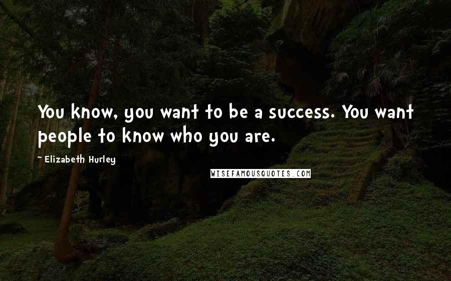 Elizabeth Hurley Quotes: You know, you want to be a success. You want people to know who you are.