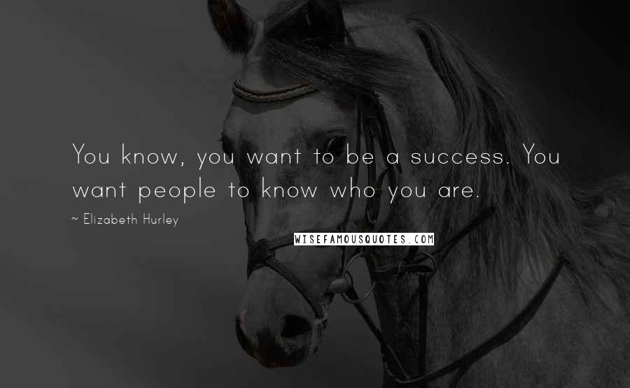 Elizabeth Hurley Quotes: You know, you want to be a success. You want people to know who you are.