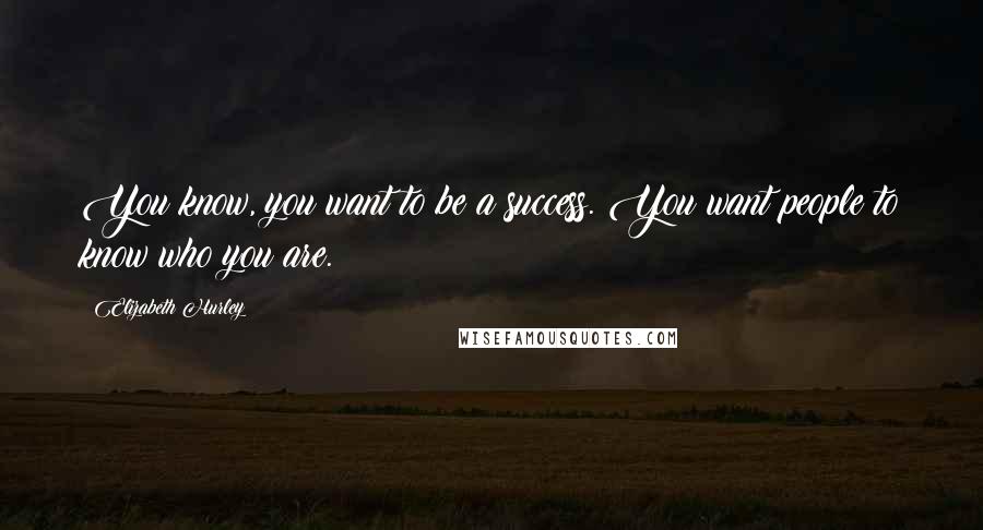 Elizabeth Hurley Quotes: You know, you want to be a success. You want people to know who you are.