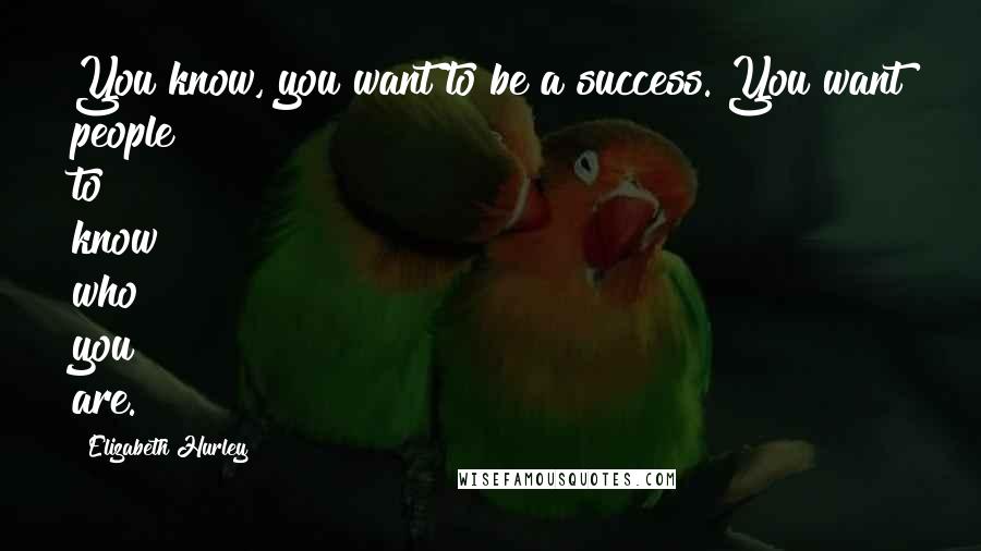 Elizabeth Hurley Quotes: You know, you want to be a success. You want people to know who you are.
