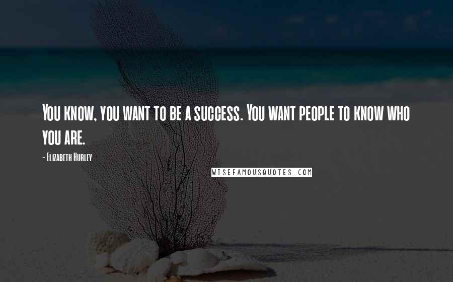 Elizabeth Hurley Quotes: You know, you want to be a success. You want people to know who you are.