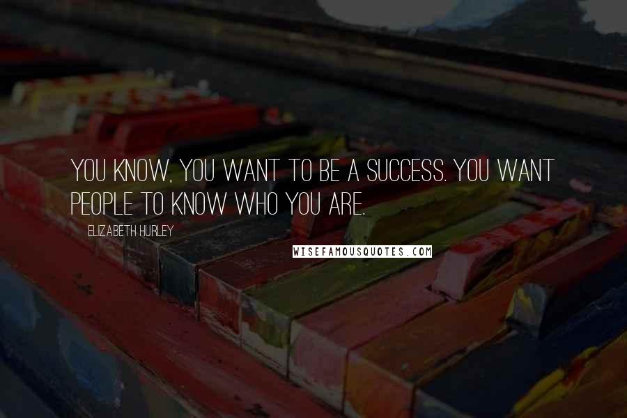 Elizabeth Hurley Quotes: You know, you want to be a success. You want people to know who you are.