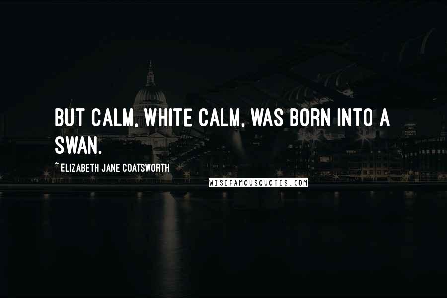 Elizabeth Jane Coatsworth Quotes: But calm, white calm, was born into a swan.