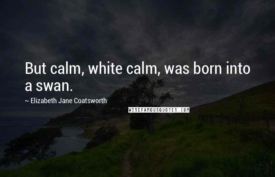 Elizabeth Jane Coatsworth Quotes: But calm, white calm, was born into a swan.