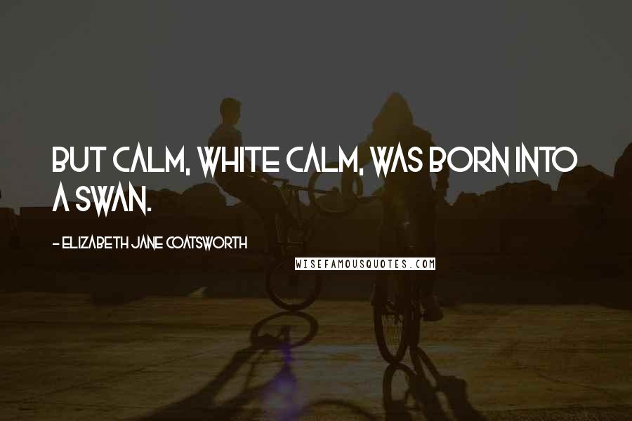 Elizabeth Jane Coatsworth Quotes: But calm, white calm, was born into a swan.