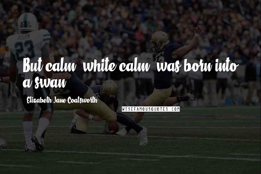 Elizabeth Jane Coatsworth Quotes: But calm, white calm, was born into a swan.