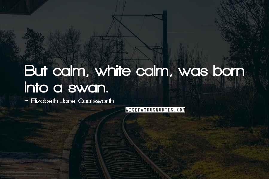 Elizabeth Jane Coatsworth Quotes: But calm, white calm, was born into a swan.