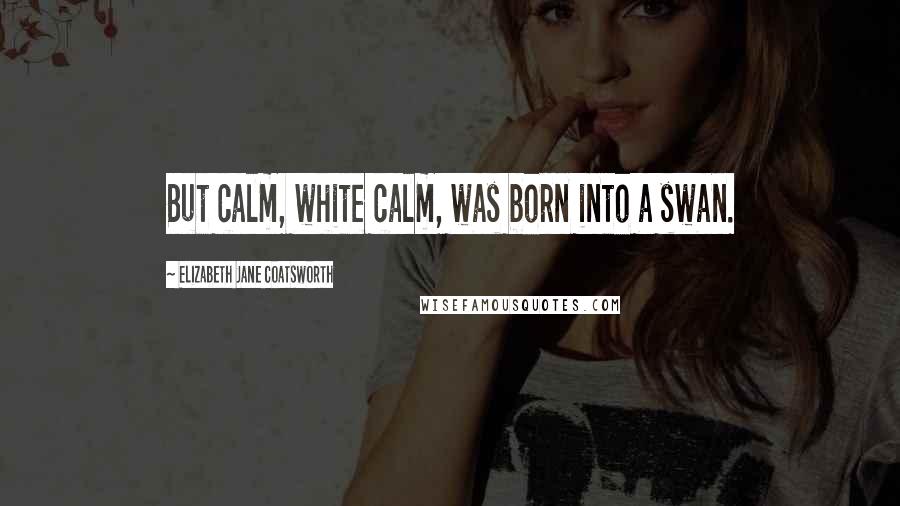 Elizabeth Jane Coatsworth Quotes: But calm, white calm, was born into a swan.