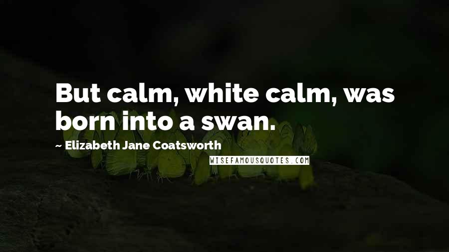Elizabeth Jane Coatsworth Quotes: But calm, white calm, was born into a swan.
