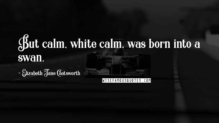 Elizabeth Jane Coatsworth Quotes: But calm, white calm, was born into a swan.
