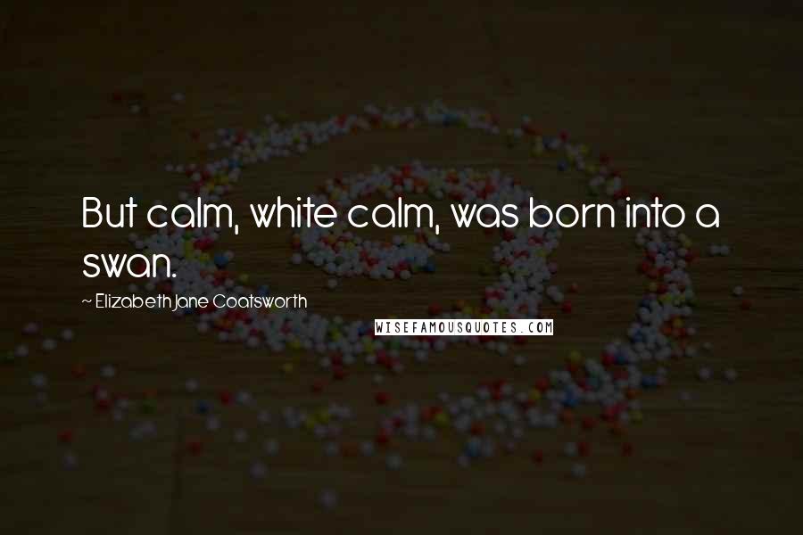 Elizabeth Jane Coatsworth Quotes: But calm, white calm, was born into a swan.