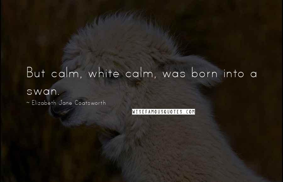 Elizabeth Jane Coatsworth Quotes: But calm, white calm, was born into a swan.
