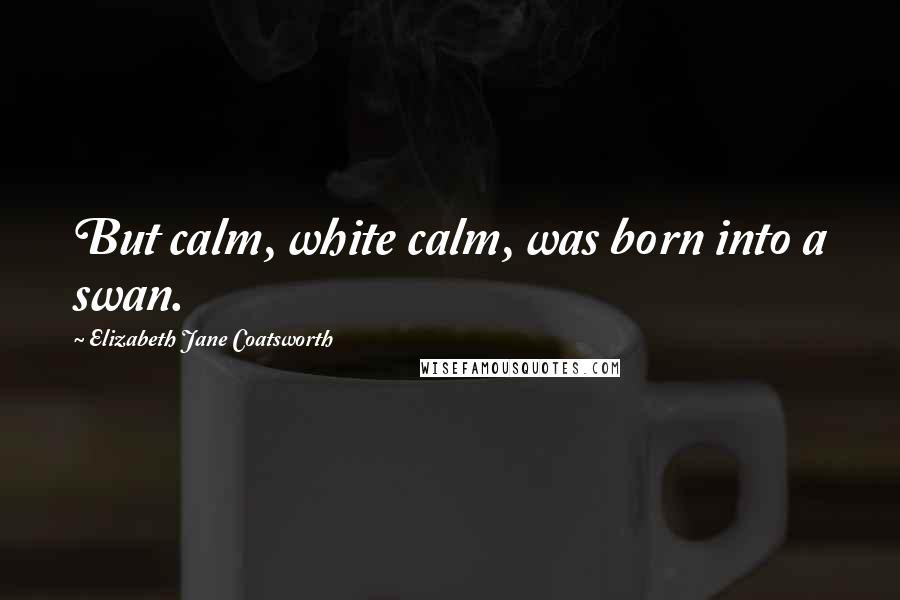 Elizabeth Jane Coatsworth Quotes: But calm, white calm, was born into a swan.