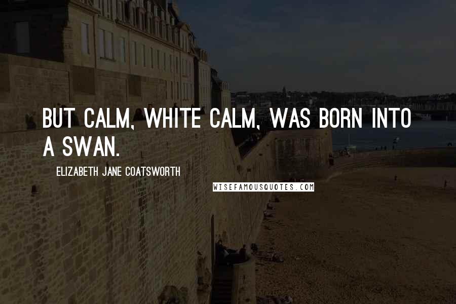Elizabeth Jane Coatsworth Quotes: But calm, white calm, was born into a swan.