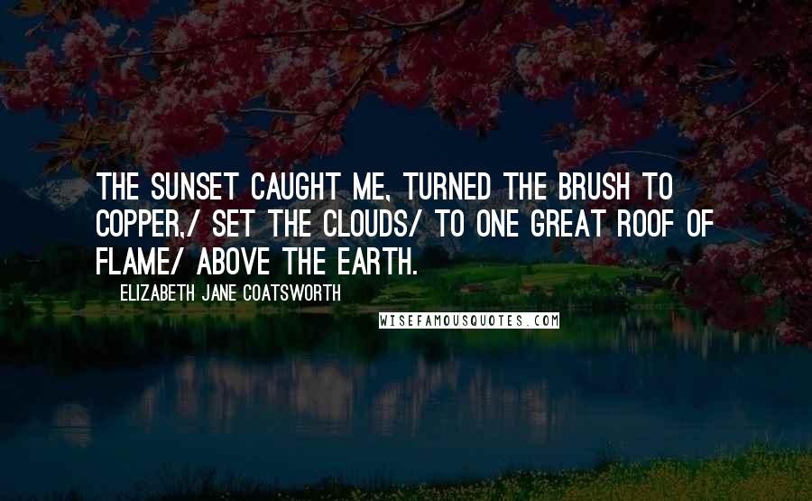 Elizabeth Jane Coatsworth Quotes: The sunset caught me, turned the brush to copper,/ set the clouds/ to one great roof of flame/ above the earth.