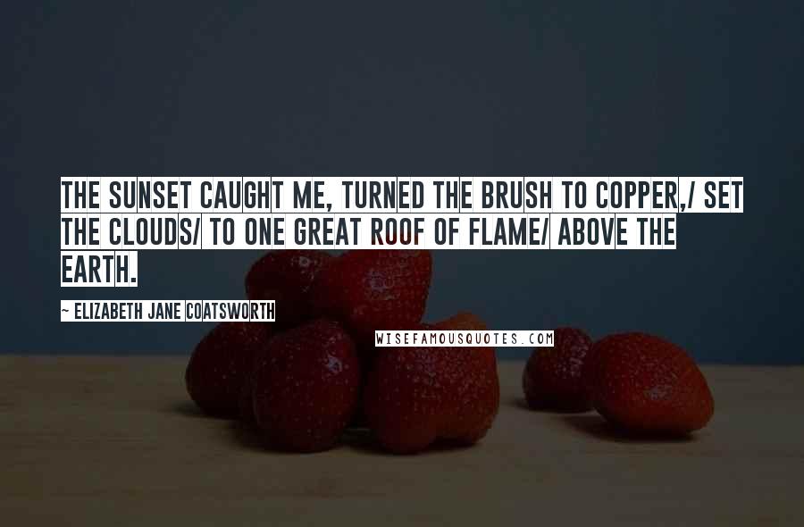 Elizabeth Jane Coatsworth Quotes: The sunset caught me, turned the brush to copper,/ set the clouds/ to one great roof of flame/ above the earth.