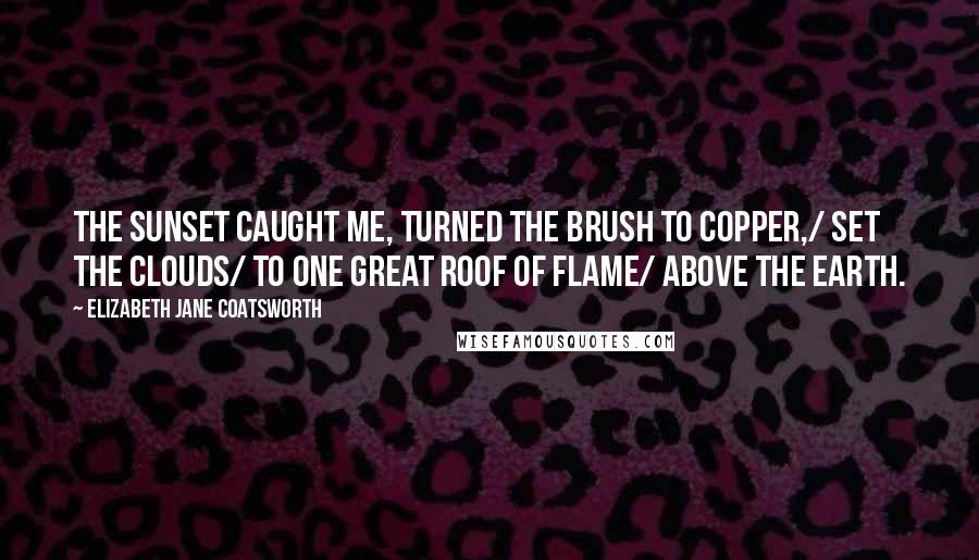 Elizabeth Jane Coatsworth Quotes: The sunset caught me, turned the brush to copper,/ set the clouds/ to one great roof of flame/ above the earth.