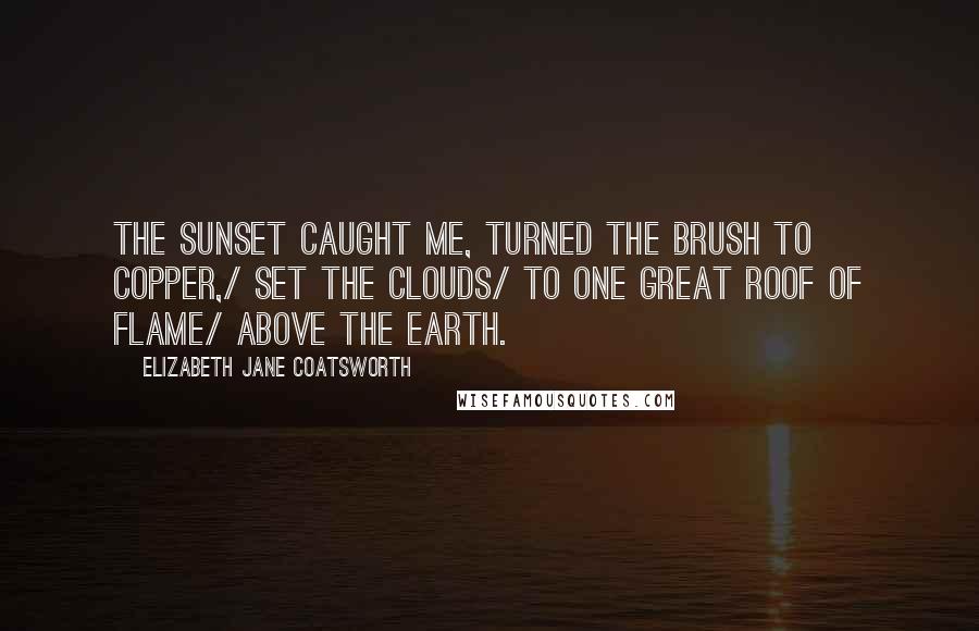 Elizabeth Jane Coatsworth Quotes: The sunset caught me, turned the brush to copper,/ set the clouds/ to one great roof of flame/ above the earth.