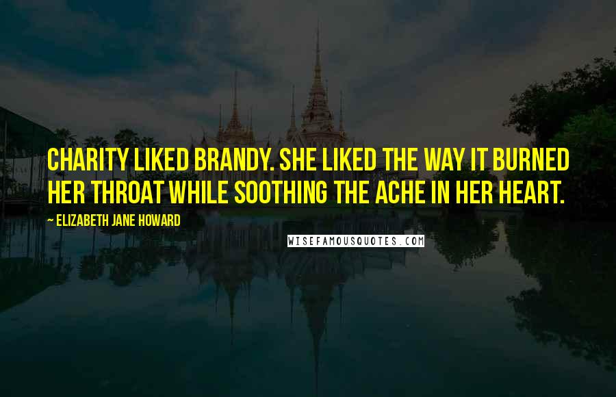 Elizabeth Jane Howard Quotes: Charity liked brandy. She liked the way it burned her throat while soothing the ache in her heart.