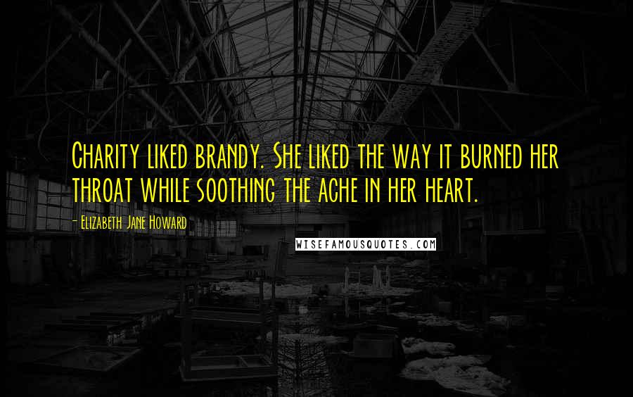 Elizabeth Jane Howard Quotes: Charity liked brandy. She liked the way it burned her throat while soothing the ache in her heart.