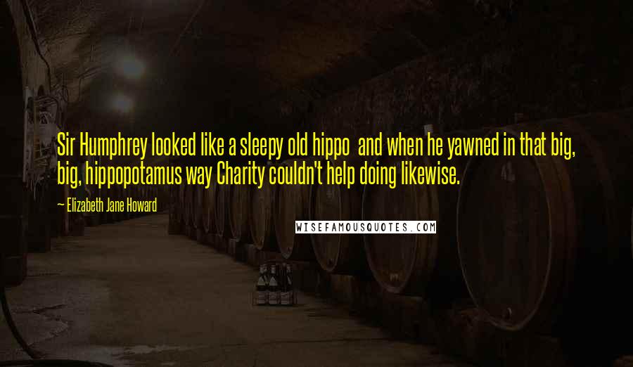 Elizabeth Jane Howard Quotes: Sir Humphrey looked like a sleepy old hippo  and when he yawned in that big, big, hippopotamus way Charity couldn't help doing likewise.