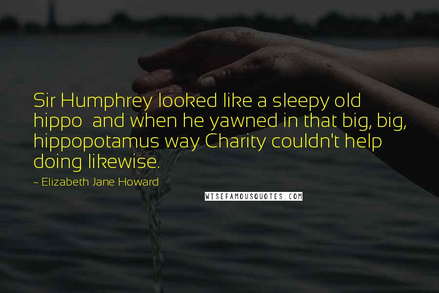 Elizabeth Jane Howard Quotes: Sir Humphrey looked like a sleepy old hippo and when he yawned in that big, big, hippopotamus way Charity couldn't help doing likewise.