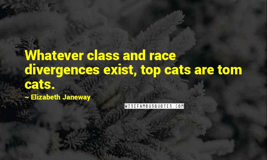 Elizabeth Janeway Quotes: Whatever class and race divergences exist, top cats are tom cats.