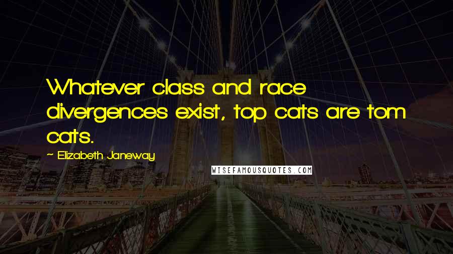 Elizabeth Janeway Quotes: Whatever class and race divergences exist, top cats are tom cats.