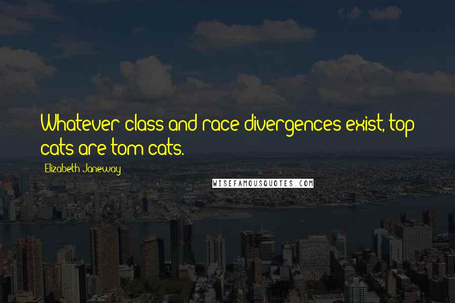 Elizabeth Janeway Quotes: Whatever class and race divergences exist, top cats are tom cats.