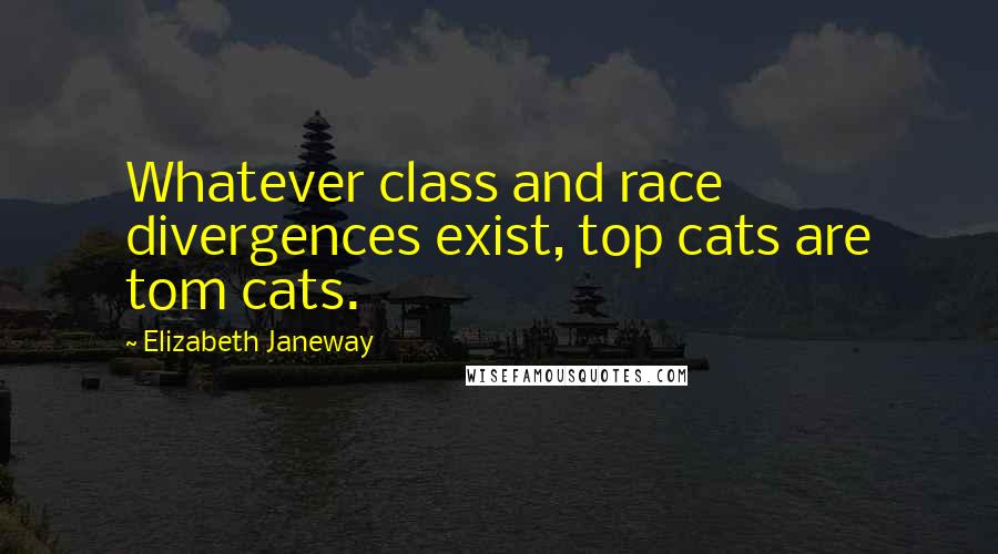 Elizabeth Janeway Quotes: Whatever class and race divergences exist, top cats are tom cats.