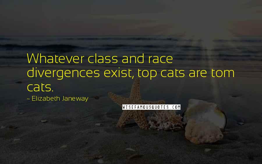 Elizabeth Janeway Quotes: Whatever class and race divergences exist, top cats are tom cats.