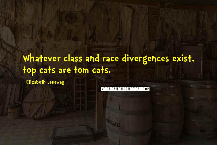 Elizabeth Janeway Quotes: Whatever class and race divergences exist, top cats are tom cats.