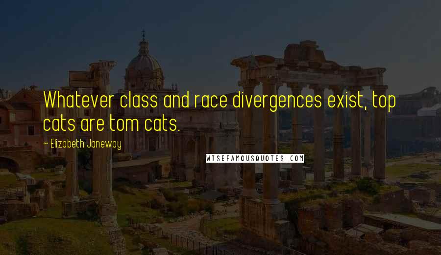 Elizabeth Janeway Quotes: Whatever class and race divergences exist, top cats are tom cats.